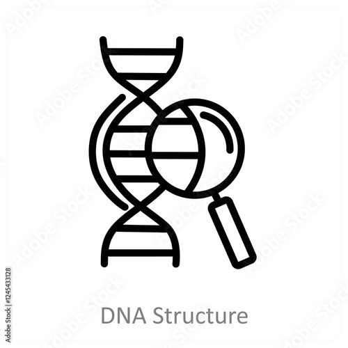 DNA Structure