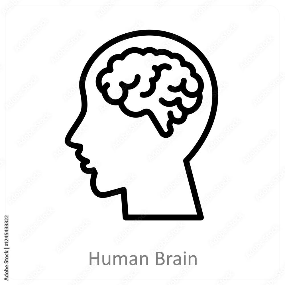 Human Brain Human Brain