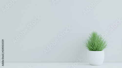 Minimalist Plant on Shelf: ...