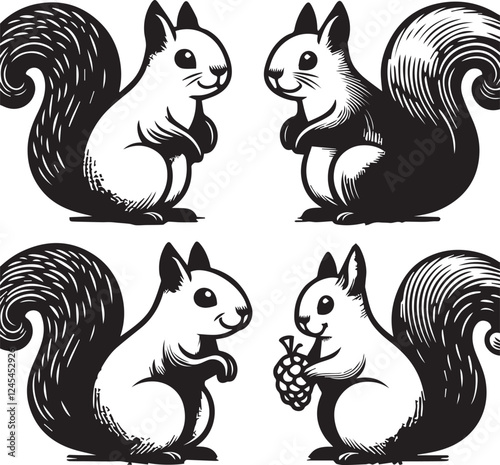 Squirrel vector in black and white