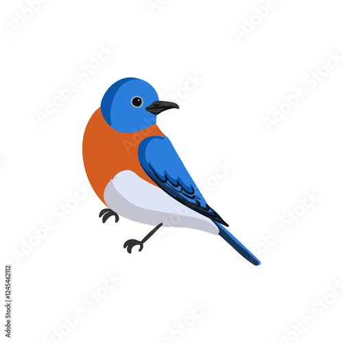 vector drawing bird, eastern bluebird , hand drawn Sialia sialis, isolated nature design element