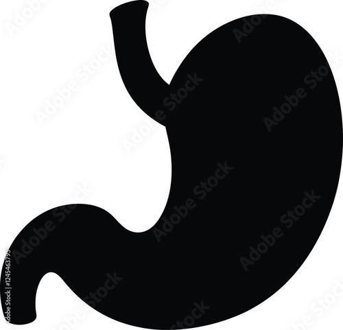 Illustration of Human Internal Stomach Anatomy. Stomach vector art with white background