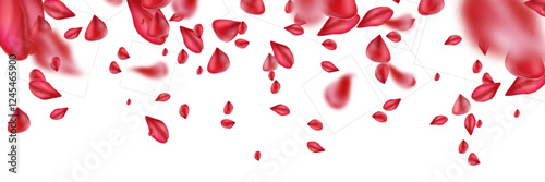 Red rose petals creating border frame with flying scattered elements on white background. Realistic motion blurred crimson floral composition for romantic card design or wedding invitation layout.