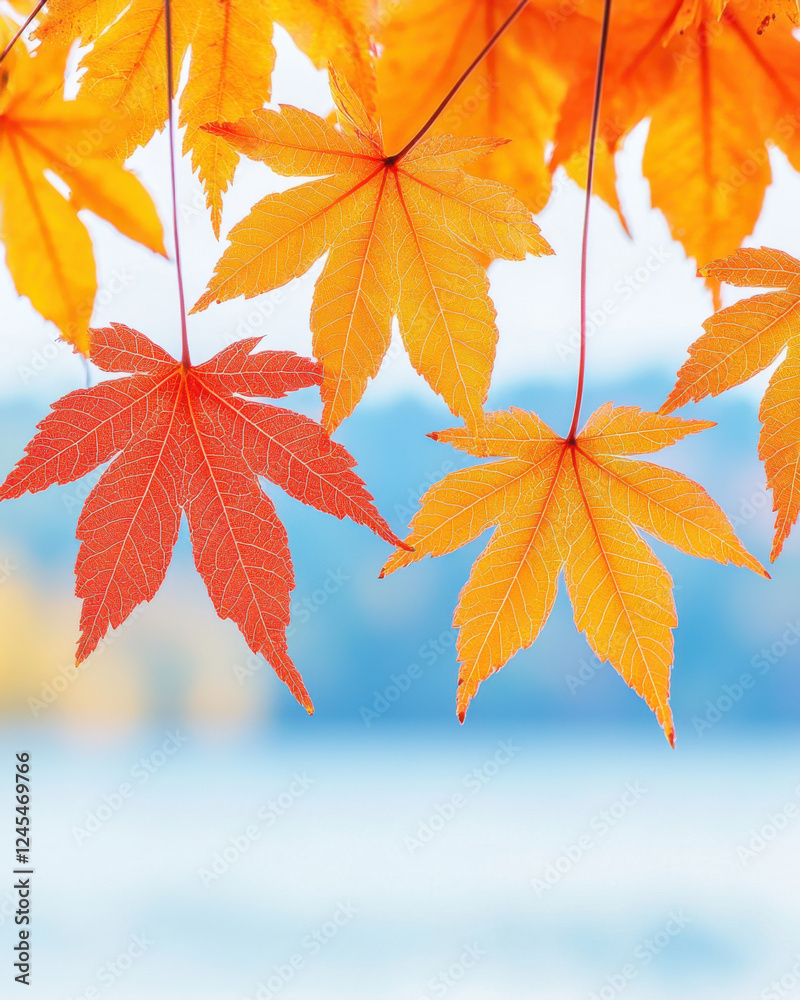 Vibrant orange and red maple leaves against soft background evoke autumn beauty Vibrant orange and red maple leaves against soft background evoke autumn beauty