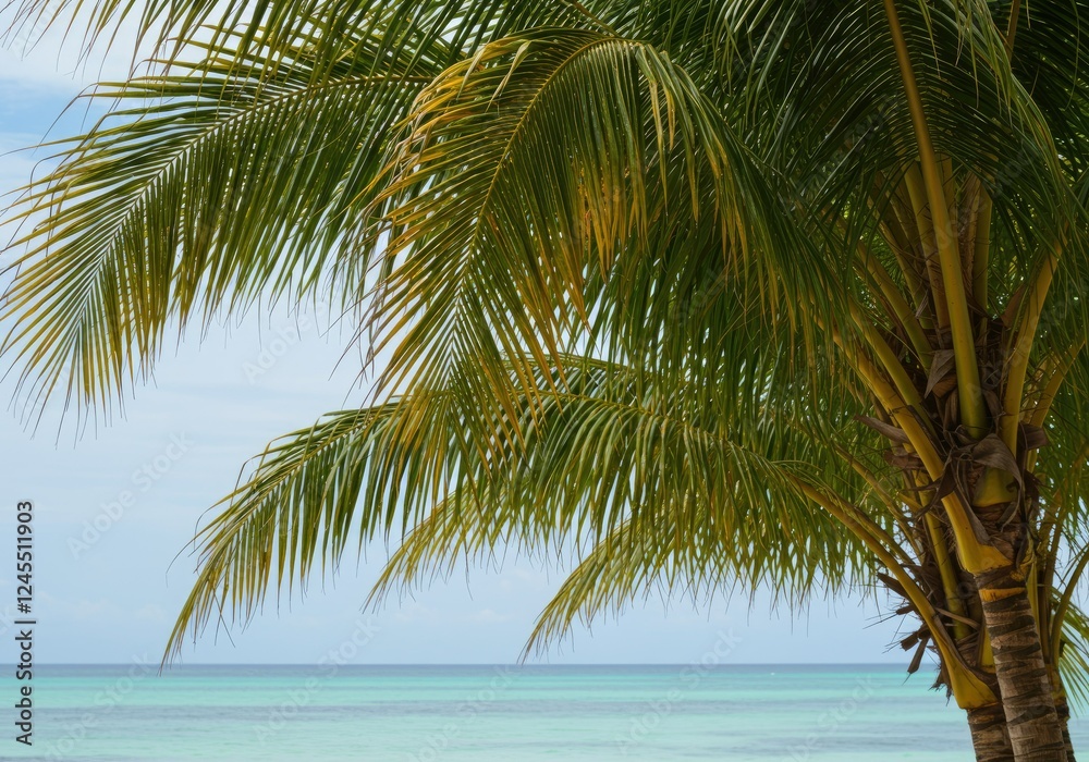 beach background with palm leaf beach background with palm leaf