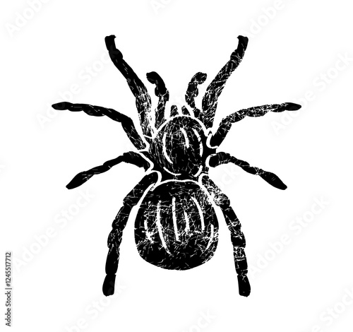 Vector illustration of spider, isolated on the white background. Black old sign with attrition and cracks. Series of Animals and Insect illustrations.