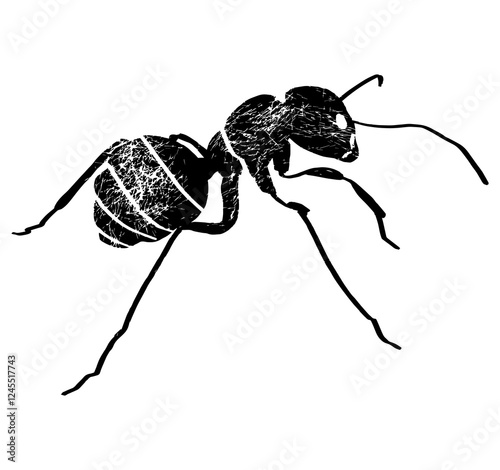 Textured ant silhouette shadow perfect vector illustration