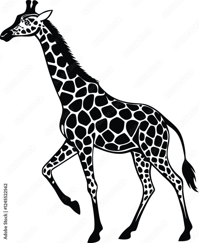 Fototapeta premium Beautiful adult giraffe vector art illustration