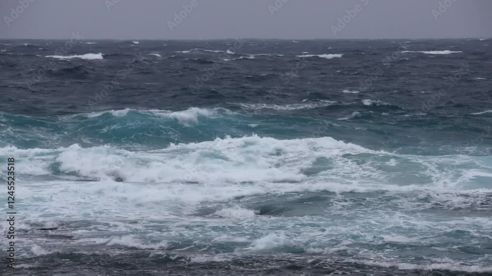 奄美大島の自然, 冬の海 奄美大島の自然, 冬の海