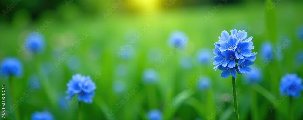 Gentle blue flax blooms in a lush green meadow, floral art, garden blooms Gentle blue flax blooms in a lush green meadow, floral art, garden blooms
