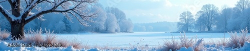 Frosty windowpane reveals icy blue winter landscape, frosty grass and bare trees, cold weather, clear spot, winter scene