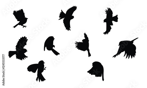 Flying African Blue Tit bird Silhouette Design  And Vector Illustration.  photo