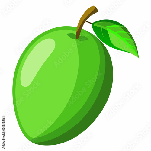 Green Mango Vector and illustration