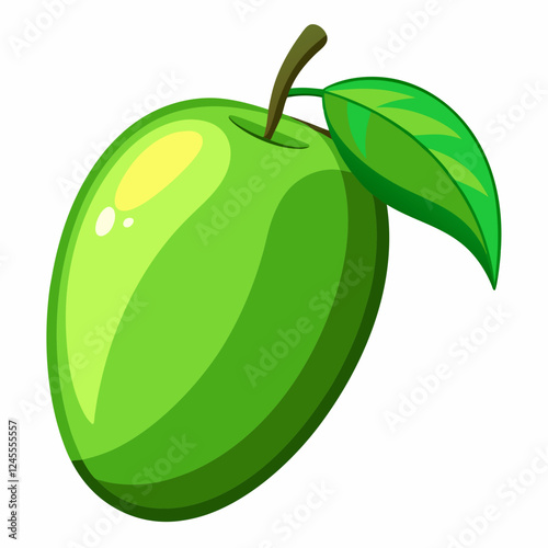 Green Mango Vector and illustration