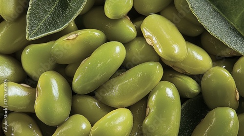A close-up view of fresh fava beans,