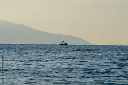 fishing boat in the sea
