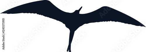 Great Frigate Bird eps vector file for cricut and silhouette