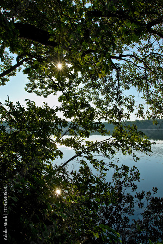 Sunstar through the leaves of an oak tree, reflected in a pond photo