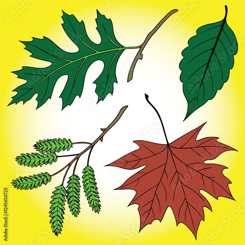 autumn leaves background