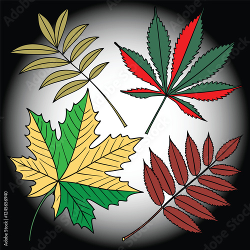 autumn leaves vector illustration