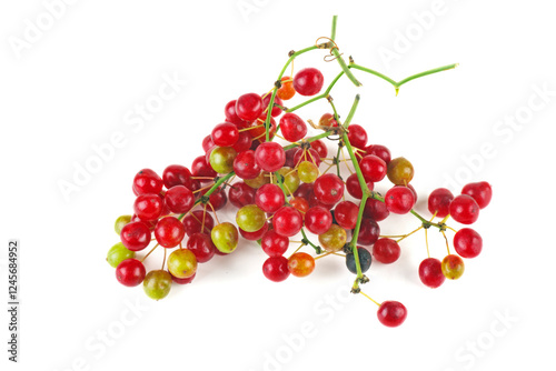 Smilax isolated on a white background.