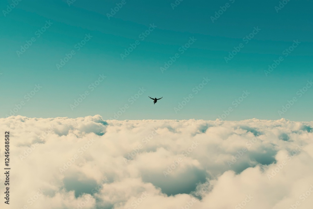Fototapeta premium A lone skydiver descends above a sea of clouds
