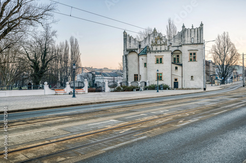 Zamek w Pabianicach photo