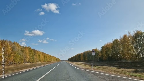 The car is walking along a scenic road. Dense forest near the highway.