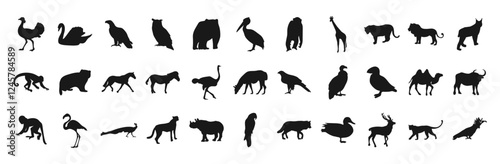 Collection of vector illustrations of animals and birds is an amazing black and white collection of various silhouettes. Perfect for zoo, nature and animal themed designs