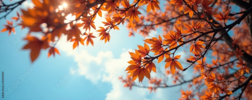 Almond tree branches stretching towards the sky, woodlands, branches, foliage Almond tree branches stretching towards the sky, woodlands, branches, foliage