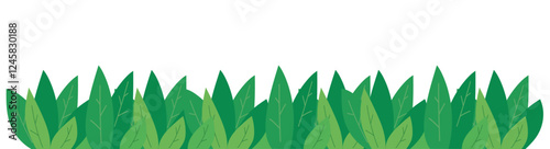 Grass Border Isolated White Background