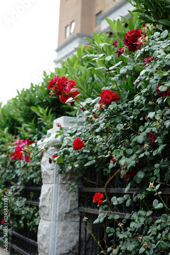 tracery wall photo