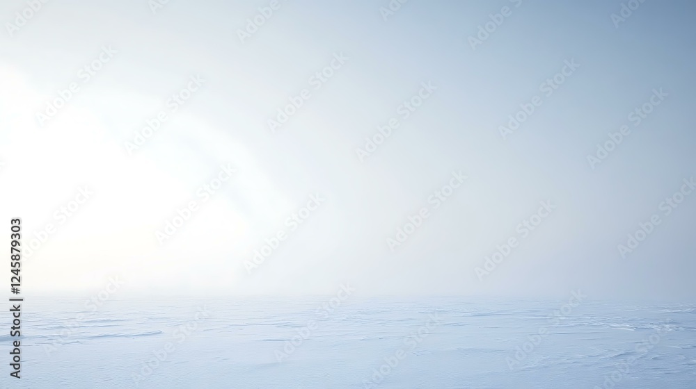A white photographic background with a faint blue gradient, creating a soft and minimalistic atmosphere. A white photographic background with a faint blue gradient, creating a soft and minimalistic atmosphere.