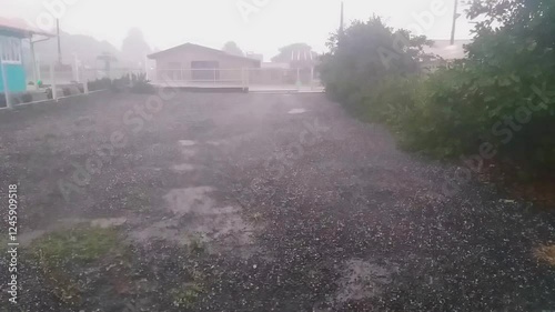 Hailstorm with wind in the yard.