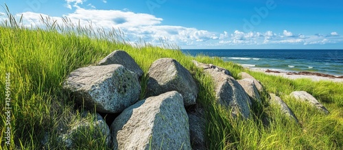 Fototapeta Naklejka Na Ścianę i Meble -  Breakwaters on Baltic Sea coast with green grass under blue sky during summer showcasing stone wall texture and tranquil beach scenery