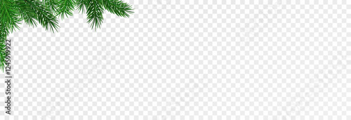 Garland of spruce branches. Christmas holiday decorations, realistic live fir tree effect with decorations for poster banners, png vector.