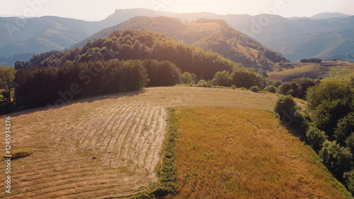 Tranquil sunny summer landscape with green fields and hills. photo