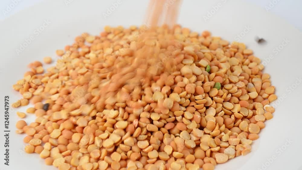 Split yellow peas. Dried, peeled and split seeds of Pisum sativum, the pea. Source of plant protein. Healthy eating. Vegan food. Split yellow peas. Dried, peeled and split seeds of Pisum sativum, the pea. Source of plant protein. Healthy eating. Vegan food.