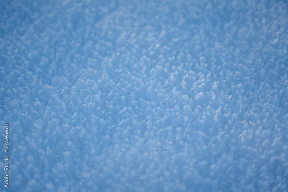 Obraz premium This is a detailed close up of a snowcovered pile against a blue background