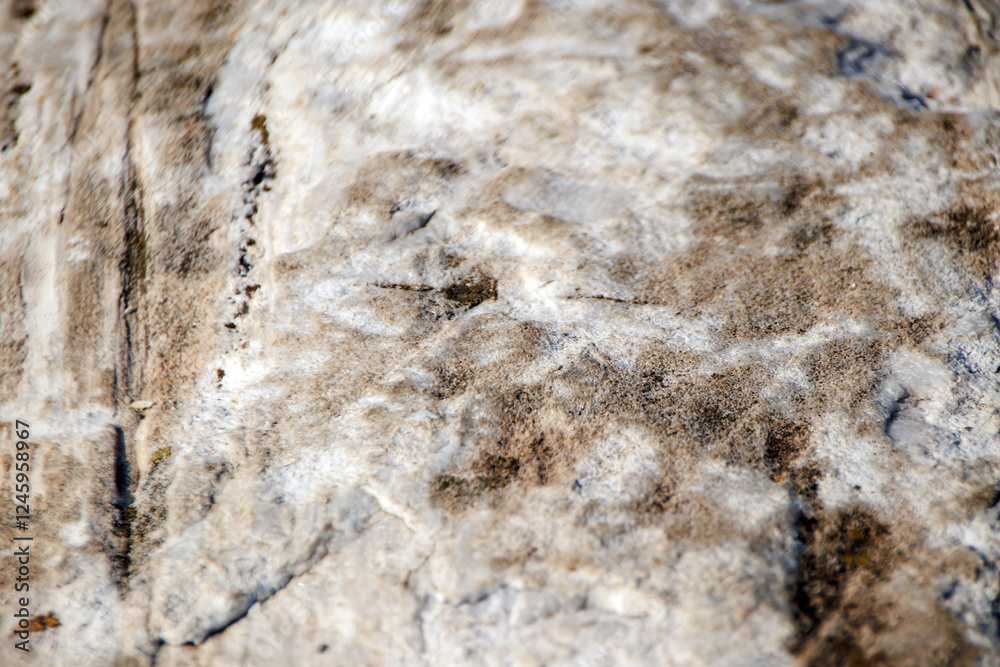 texture of stone texture of stone