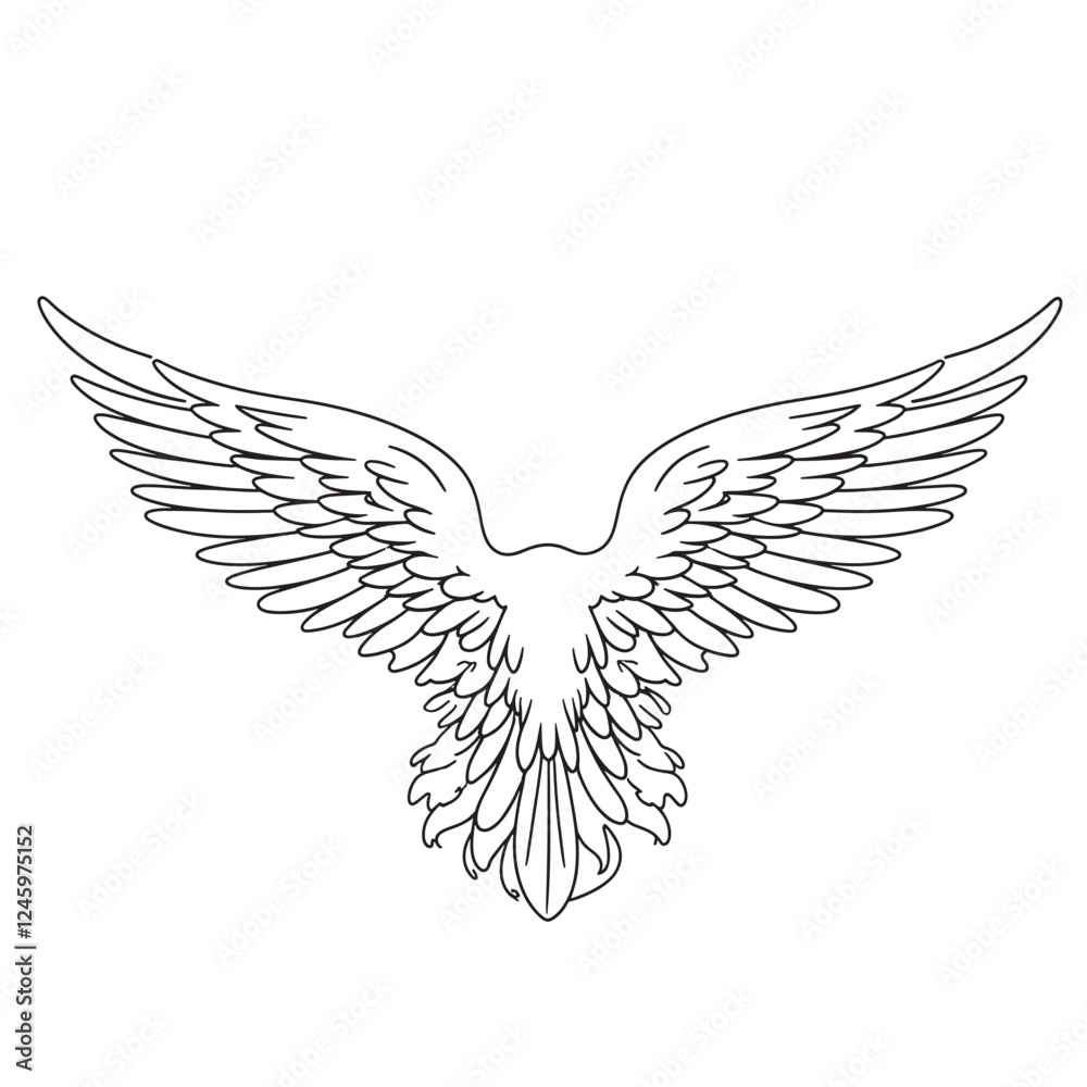 Obraz premium vector wings of a bird, vector wings of the eagle, eagle with wings