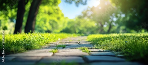 Garden pathway surrounded by lush greenery and fresh grass growing between stones in a serene summer landscape with soft sunlight. photo