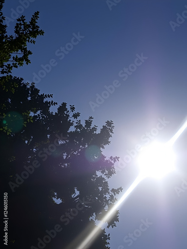 2017 Total Solar Eclipse From the Centerline, Salem Oregon, Marion County - Totality Mid Point photo