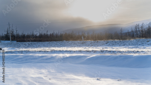 Snow Dunes Glowing in Winter Sun - Gentle snow dunes glisten under the winter sunlight, with a forested horizon blurred in the background. photo