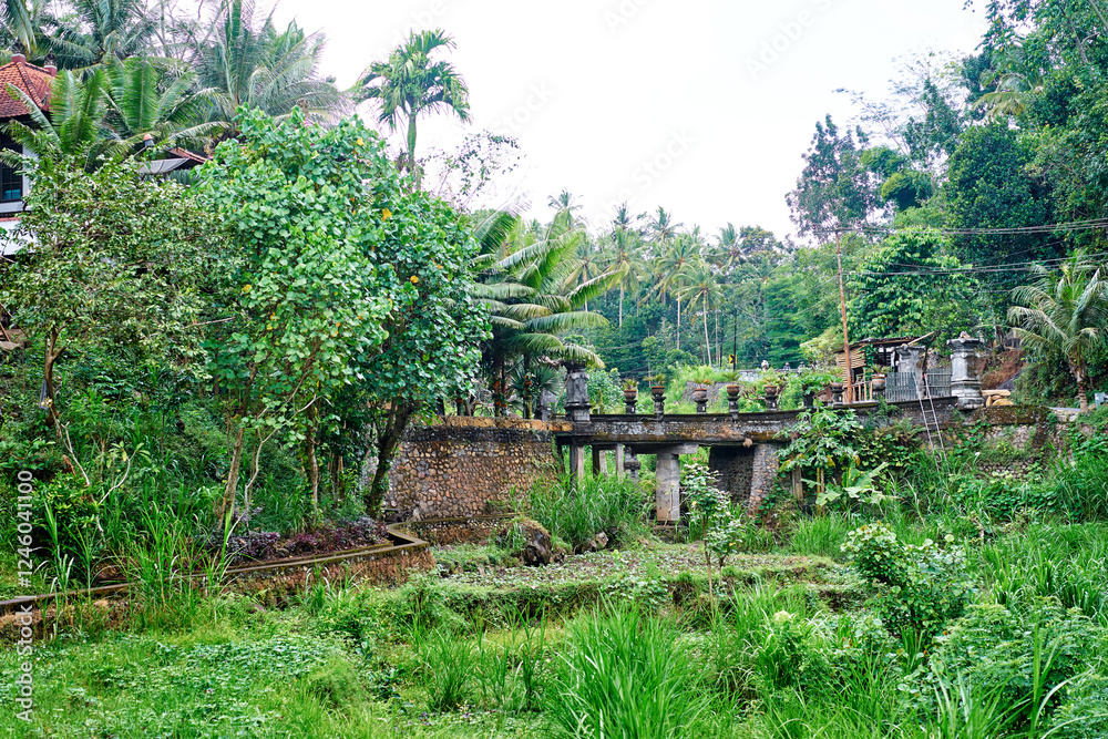 Traditional Stone Bridge Surrounded By Lush Vegetation and Palm Trees.. Traditional Stone Bridge Surrounded By Lush Vegetation and Palm Trees..
