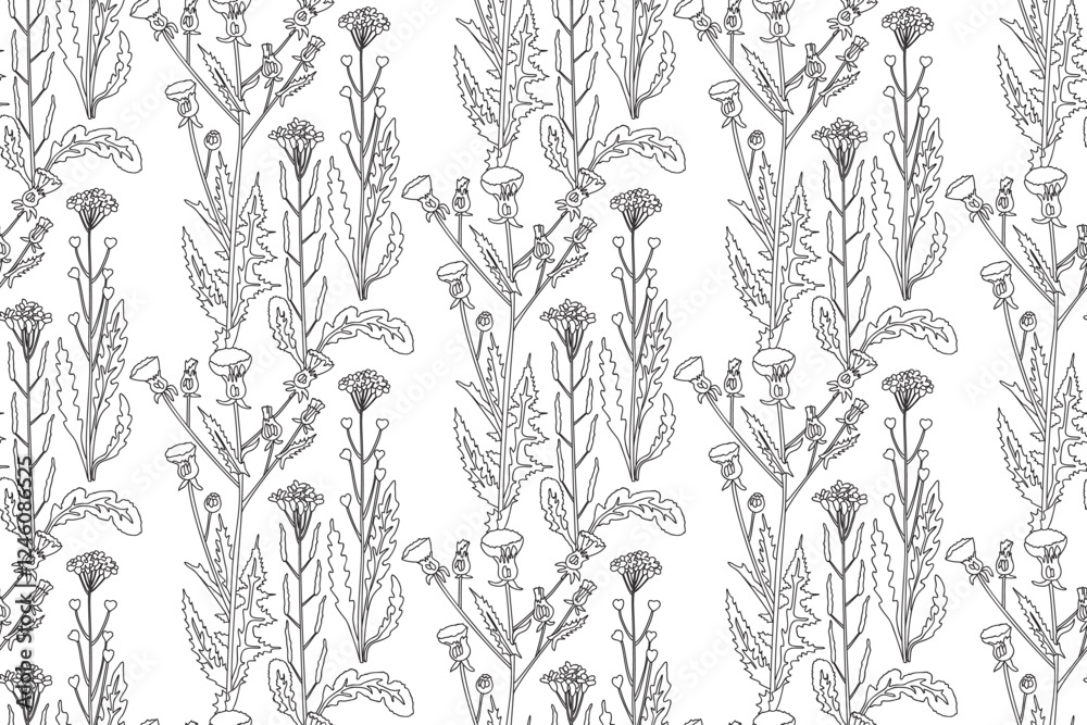Fototapeta premium Line art botanical abstract seamless plant pattern with wildflowers vector illustration. Black and white outline repeating floral background. Graphic design for Wallpaper Textile Cover Card Birthday