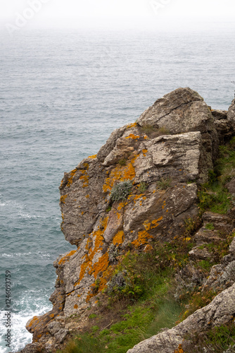 rocks in the sea