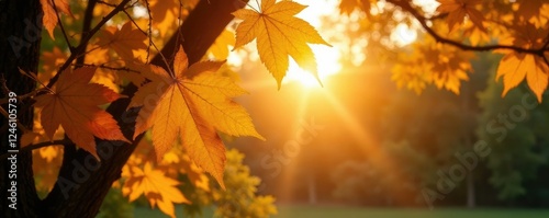 Warm sunlight peeking through golden leaf layers, trees, light