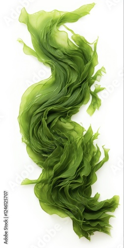 Swaying Kelp Seaweed Isolated on White Background - A Nutritious Green Algae Rich in Iodine