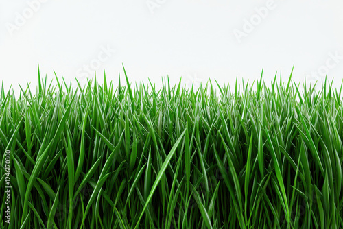 Vibrant green grass blades against a clean, white background.